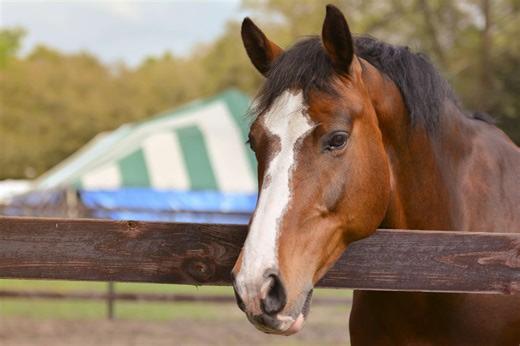 Federal Appeals Court Rules Takings Clause Creates Cause of Action Even Without Additional Federal or State Legislation