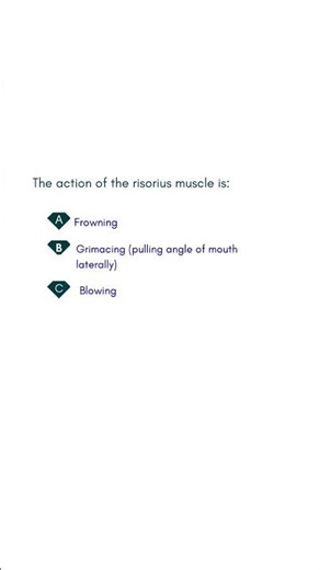 The action of the risorius muscle is #medicalexamguide