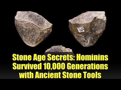 Stone Age Secrets: Hominins Survived 10,000 Generations with Ancient Stone Tools