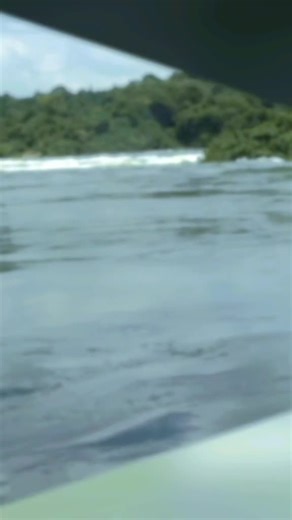 Explore the Thrills of the Nile River in Uganda