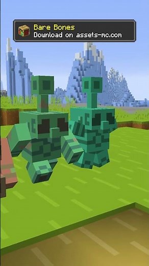 🥇 Bare Bones Texture Pack 1.21.9/1.21.8