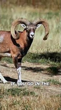 5 Rewards You’ll Get for Going Early to Friday Prayer.😱