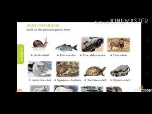 Chapter-2 Animals in Their Surroundings (Part--1) Science for class- 5