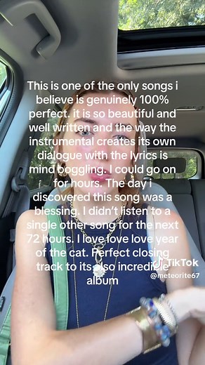 #1 year of the cat by al stewart fan i love this song i’m going to scream