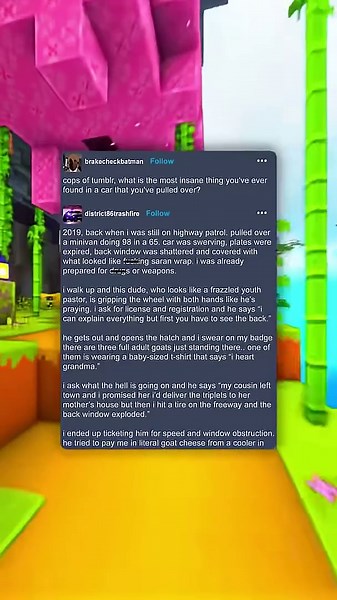 Craziest cop pullover!