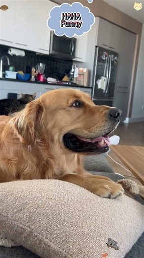 Phillies land All-Star closer Jhoan Duran ahead of MLB trade deadline 👀🔥 #JhoanDuran