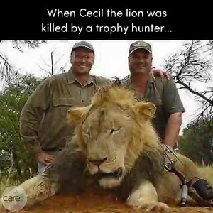 4.7M views · 1K reactions | Justice for Xanda, Cecil's Son: Ban Trophy Hunting Now! SIGN & SHARE PETITION | Care2 | Facebook