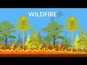 Wildfires || wildfires reasons