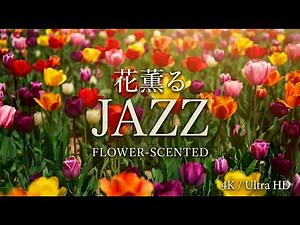 【4K ジャズ】癒やしの花と春風のBGM｜心地よいスイング｜ピアノ・サックス・ギター｜Relaxing Spring Garden Jazz