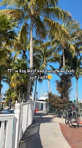 77° in Key West and everything feels just right #keywest #keywestflorida #floridakeys #thefloridakeys #keywestlife #February2026 | Experience Key West