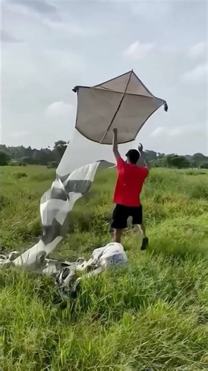 Cậu bé có chiếc diều đuôi rất dài ￼😊#shortvideo #shortsviral