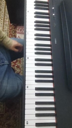 Piano Cover of Silent Hill Soundtrack