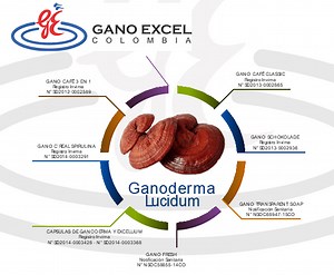 Gano Excel - Gano iTouch: Qué son, cómo funcionan, planes de compensación - Vendiendo