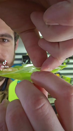 Testing how easy it is to peel the epoxy off my epoxy distribution system #epoxy #fyp