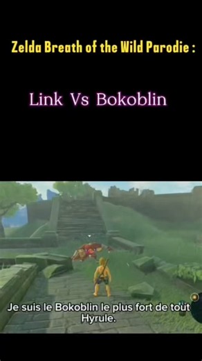 Zelda Breath of the Wild Parodie : Link VS Bokoblin #zelda #botw #humour