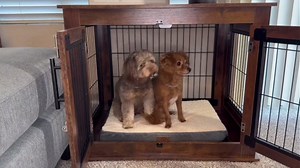 Farmhouse Dog Crate Furniture End Table - Heavy Duty Wooden Kennel Cabinet with Double Doors for Small/Medium Dogs, Rustic Brown Indoor Dog House Furniture Console for Living Room