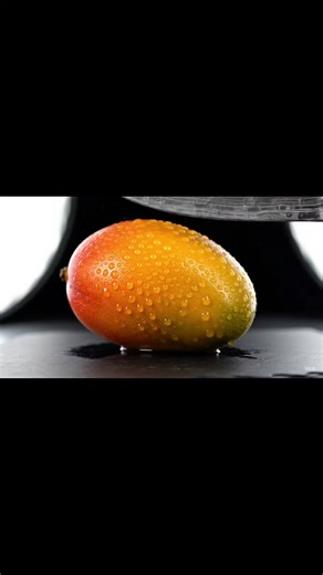 Zappify.AI on TikTok