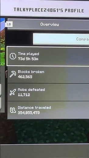 Killer stats#minecraft #idk