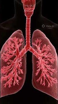 Class 10 Biology Chapter 1 | Life Processes Part-2 | Respiration Explained | UP Board