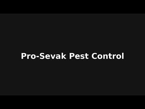 prosevak promo video