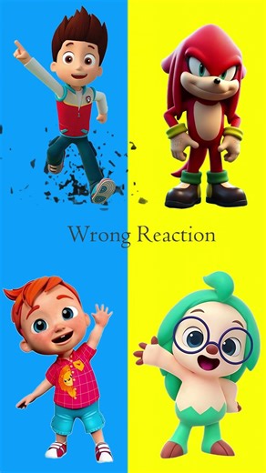 Paw Patrol vs PJ Masks Which One Wins 🆚 #pawpatrol #shorts