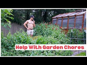 Harvesting Comfrey and Garden Maintenance | VLOG