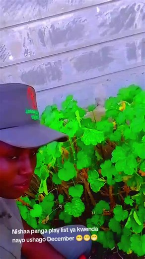 irenelewis647 (@irenelewis647)’s videos with BANANA! - JELEEL!