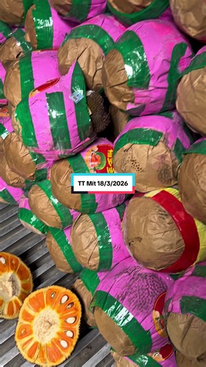 9h50 ngày 18/3/26. Vẫn chưa có thông tin gì mới về việc test. Chợ TQ sụt giá nhẹ có thể do thời tiết ấm lên. Tại miền tây có 1 số vựa đóng hàng, cho giá bằng hôm qua. Tại cửa khẩu mít quay đầu bán rất nhiều và rất rẻ. Gặp đúng mấy ngày chợ cúng dân mua trái cây thắp hương, ít mua mít nên càng khó bán! Có thông tin mới mình sẽ lên bài cập nhật ngay! Vườn mít của bà con quả già thì hái thôi, chưa xác định được đường dài#tinhbaomit #tuananhmit #traicayhoanglong #mitxuatkhau #vuatraicayhoanglong
