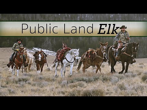 DIY Elk Hunting - Guy Eastman hunts his home turf! (Beyond the Grid)