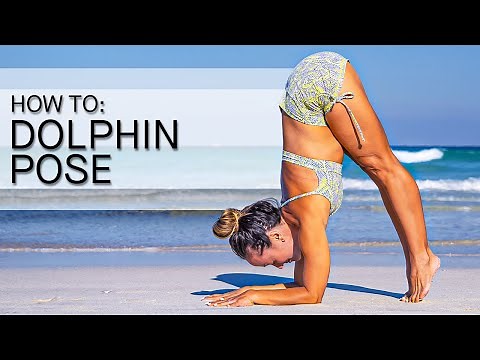 How to Do Dolphin Pose Pinchamayurasana Prep — Yoga Drills Challenge Pose Tutorial — Day 8