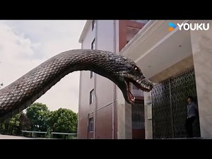 😨🐍Giant snake behind the man! | Rising Boas in a Girl's School | YOUKU MONSTER MOVIE