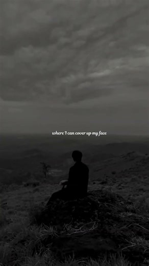 Freak – Surf Curse | Lyrics Video 🖤 | Aesthetic Indie Song | WhatsApp Status #shorts