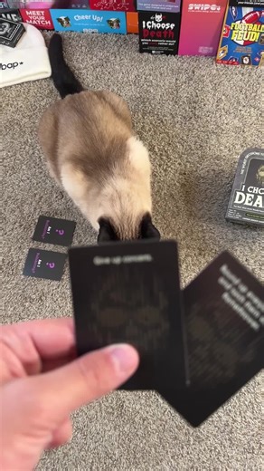 Concerts… #ichoosedeathgame #bap #cat #oof #fyp | cat