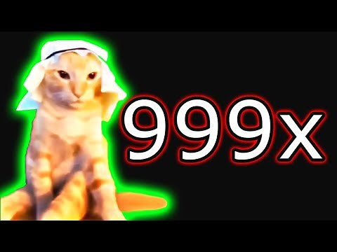 Habibi Arab Cat 999x speed memes
