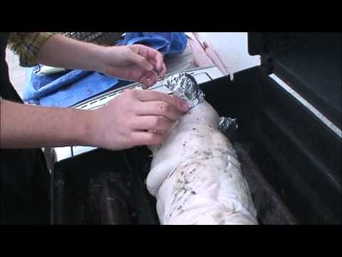 How We Cooked a Whole Roast Suckling Pig on a Gas Grill