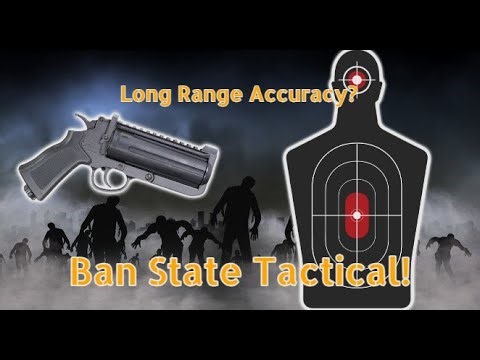 Six Needler Accuracy Test with The SECOND VALVE! (Ban State Tactical)