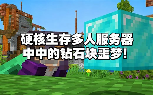 [中配]硬核生存多人服务器中的钻石块噩梦！ - Mogswamp