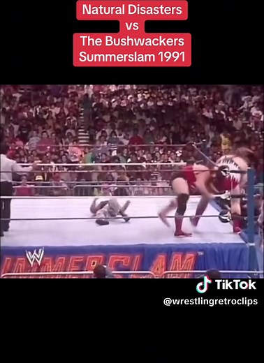 Natural Disasters vs The Bushwackers at Summerslam 1991