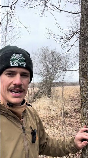 Woodsman-ship 101: Identifying Black Ash Trees & Their Wildlife Wonders 🌳🦌 | Short Nature Guide