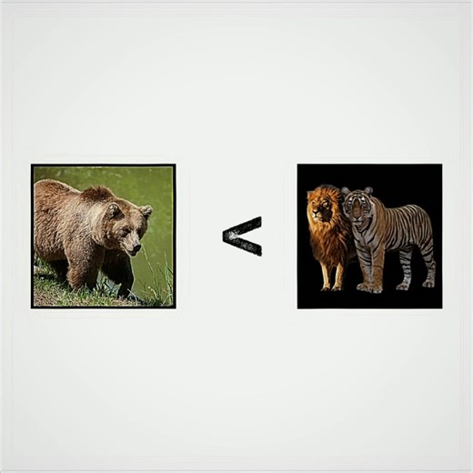 Lion X Tiger vs All Animals🗿🔥#edit #shorts #lion #tiger