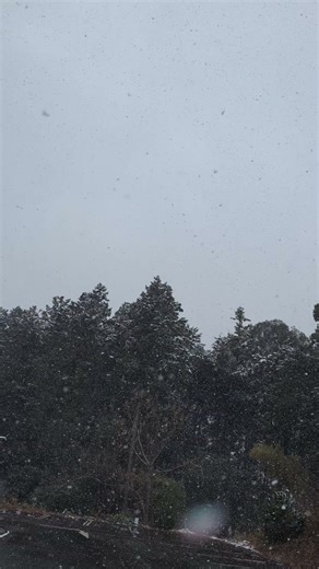 トレッタ三次#三次#グルメ#雪景色 25/12/26 雪降りました。雪景色です。