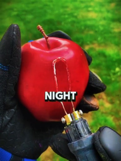 funny story english Have You Ever Met A Celebrity But Acted Like You Don_t Know Them applecider eos short funny story about english english short story for kids english comedy funny videos short funny story english #fyp #funnyenglishsroty #storytimevideos #Funnystory #storytime