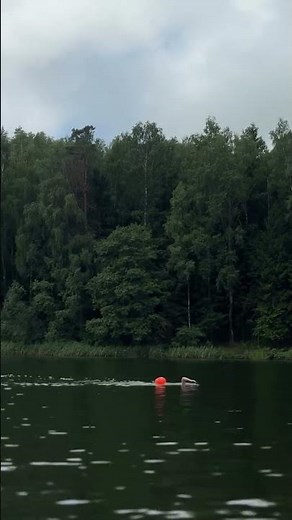 Открытая вода, тренировки. Минск