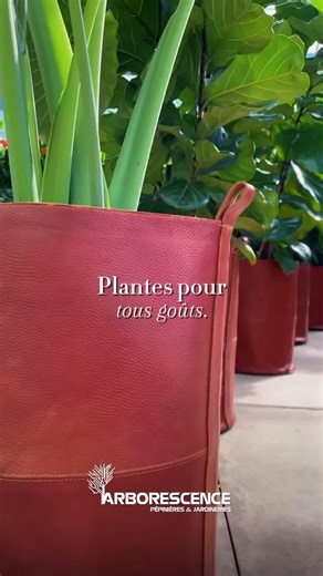 🌿 Venez découvrir notre large choix de plantes, pots et accessoires de jardinage chez Arborescence ! Qualité, conseils et inspiration vous attendent. | Arborescence
