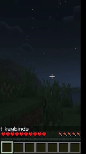 THE SKINWALKER GOT ME 💀 #dweller #minecraft #skinwalker #edit #gaming