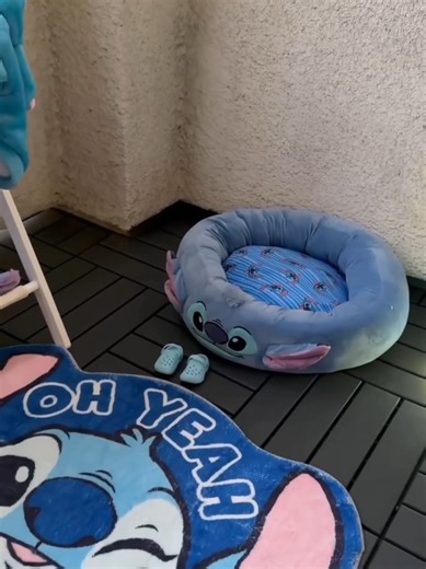 Stitch house 😍😍 #stitch #ohana #lilo #liloandstitch #liloystich | Stitch