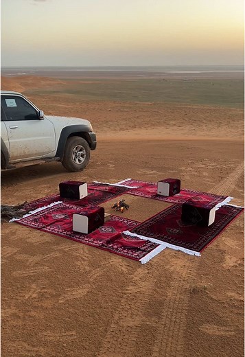 #فتك #ما_شاء_الله #القصيم #1188 #القصيم_بريده #فتك_4800 #كشته #الرس #فتك_ربع #شعيب #ام_شيح