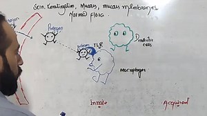 2.1K views · 143 reactions | For All Lectures contact us at 03339316906 | Up Teaching Academy | Facebook