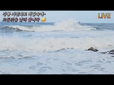 🇰🇷 강릉 바다 소리( LIVE ) 스트레스 날려봐요 🤣🤣 항상좋은일이 그림자처럼 늘함께하시길 바랍니다 🙏 #바다 #강릉 #live #파도소리