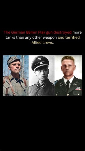 Lauri Törni – The Soldier Who Fought for Three Armies